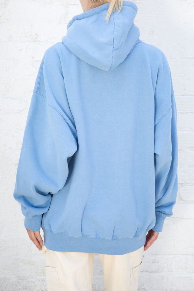 Sweat a Capuche Brandy Melville Christy Bleu Clair | ZJM-19836933